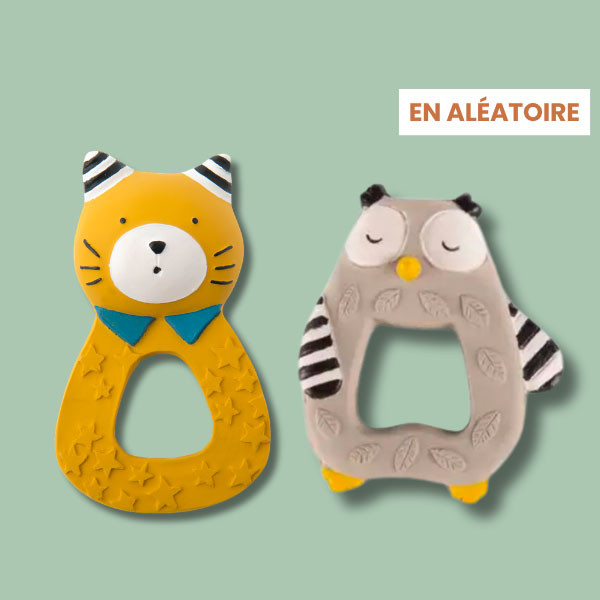 magicmaman le coffret famille anneau de dentition moulin roty